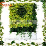 2015 New Products on the Wall Vertical Artificial Green Wall for Home Garden thumbnail-2