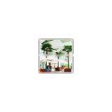 Artificial Palm Tree Fiberglass Material Outdoor/indoor Decoration Electric Palm Tree thumbnail-1