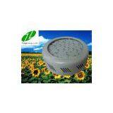 Led Grow Light for Indoor Greenhouse 50w thumbnail-1