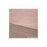 BB/BB Bintangor Plywood thumbnail-3