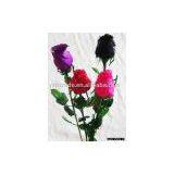 Feather Rose thumbnail-1