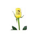 Flower Printer(intelligent Type) thumbnail-3