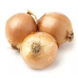 Fresh Yellow Onion in 25kg/Mesh Bag thumbnail-2