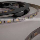 Underwater Led Strip Light Ip68 Tow Color Led 3014 224leds CCT Temperature Color Change Tape thumbnail-1