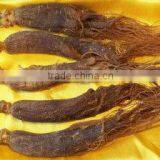 Red Ginseng,6 Years Root