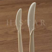 Eco-friendly Disposable Fruit Knife thumbnail-1