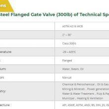 Mstnland API600 CAST STEEL FLANGED GATE VALVE (300LB) thumbnail-2