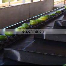 Fruit and Vegetable Cleaning, Waxing, Drying and Grading Production Line thumbnail-4
