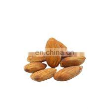 Almonds Witch Shell China Almond Sugar Coated Chocolate Almond Nuts 100 kg California thumbnail-4