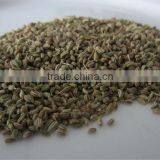 Carom Seeds thumbnail-3