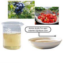 Amino Acid Fertilizer With Around 16% Nitrogen Powder Aminoacids 80% Big Bags thumbnail-4