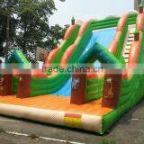 Cheap Ao QI PVC Trapualin Inflatable Water Slides for USA Market