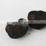 Fully Mature Fresh Wild Black Truffle Mushroom thumbnail-3