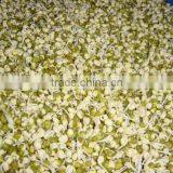 Factory Price Automatic Bean Sprout Growing Machine for Sale thumbnail-2