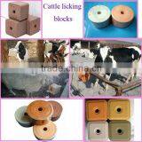 Where to Buy the High Quality Mineral Salt Block Machine thumbnail-4