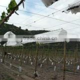 roof style remove curtain mode for grape and vinyard rain cover in summer