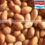 Peanut Manufacturer