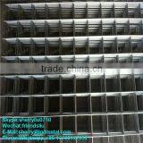 1/4 Inch Galvanized Welded Wire Mesh 8gauge Stainless Steel Welded Wire Mesh---WMSL010