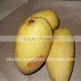 White Chaunsa Mango Special Offer for UK thumbnail-1