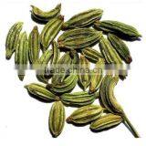 Fennel Seed Oil IP/BP/USP thumbnail-1