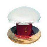 Gymnastic Mushroom Trainer / Mushroom Horse Training thumbnail-1