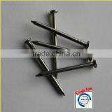 Polished Common Iron Nail of Best Price