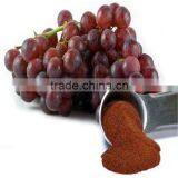 Top Quality Pure Nature Red Wine Extract Powder