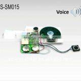 Melody Module Chip/Melody ic Chip