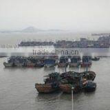 Shishi G-Shield Seafood Technology Co., Ltd. company overview - view 2 thumbnail