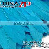 CHINAZP Bulk Sale Top Selling Best Design Dyed Fluffy Turquoise Plumage Goose Satinettes Feathers Trim Trimming thumbnail-2
