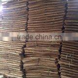 1.7 - 2 mm Eucalyptus Core Veneer From Viet Nam thumbnail-5