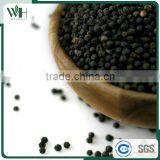 Vietnam High Quality Raw Black Peppercorn Pgi-570 thumbnail-3