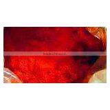 Paprika Chili Powder thumbnail-1