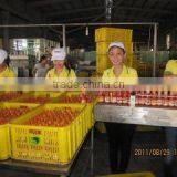 Binh Minh Food Joint Stock Company company overview - view 2 thumbnail