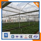 agriculture greenhouse professional vegetable greenhouse flower greenhouse manufacture in China