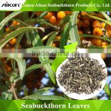 Seabuckthorn Tea Detox Slim Tea,Flavoured Tea