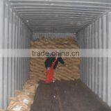 Fishmeal thumbnail-3