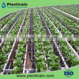 Drip Irrigation Bend Arrow Dripper