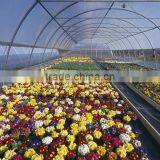 Anti-fog and UV-protection Garden Greenhouse,fiberglass Greenhouse Covering,commercial Hothouses