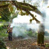 Mosquito Fog Machine Thermal Fogger (five Years Engine Guarantee) thumbnail-3