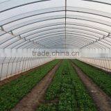 Tunnel Greenhouse thumbnail-2
