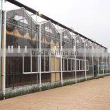 Horticultural Design Hot-Dip Galvanized Steel Pipe Frame Commercial Greenhouse For Holiday thumbnail-6