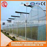 Greenhouse With Double/single Plastic for Plant Tomato and Flowers Made in China thumbnail-3