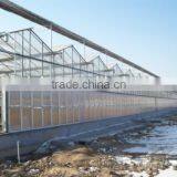 Foreign Customber Design Commercial Greenhouse for Sale thumbnail-1