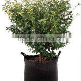 Smart Pot Big Bag Bed Fabric Raised Bed Grpw Bags thumbnail-1