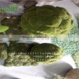 SJLJ01259 Hot Selling Artificial Moss Ball thumbnail-4