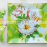 Square Dinner Plate With Server Set thumbnail-1