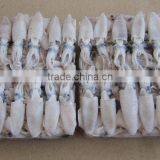 Hot Sale Whole Round Frozen Baby Squid thumbnail-1