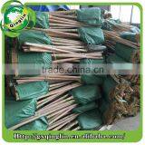 Hot Selling Wooden Handle Corn Broom Use in Farming and Garden thumbnail-6