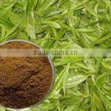 GREEN TEA LEAF EXTRACT thumbnail-2